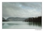 Malinconia invernale Malinconia invernale