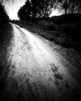 lungo la via lungo la via