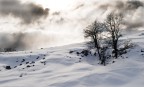 Neve e controluce Neve e controluce
