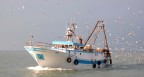 ritorno dalla pesca ritorno dalla pesca