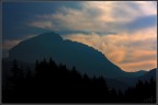 silhouette silhouette