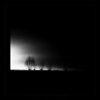 Una foto che mi affascina,
una bassa qualit� ricercata (forse per� non a questi livelli)
che da il suo tocco tetro all' immagine 
questo a parere mio
commenti e critiche sono molto graditi