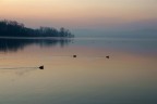 alba 2 alba 2
