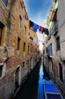 venessia venessia