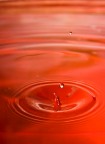 drops drops