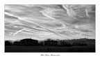 Paesaggi Toscani in B/W Paesaggi Toscani in B/W