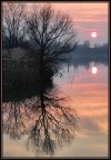 a volte il cielo è rosa....a volte a volte il cielo è rosa....a volte