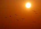 to the sun to the sun
