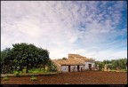 Rural landscape Rural landscape