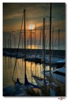Alba 7