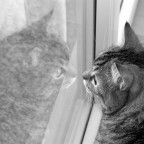 cosa star� guardando?