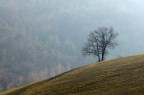 Solitario 2 Solitario 2