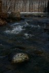 Nel fiume. . . . Nel fiume. . . .