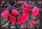 I PRIMI COLORI I PRIMI COLORI