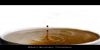 Coffee Drop Coffee Drop