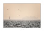 il viaggio il viaggio