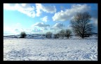 Paesaggio invernale Paesaggio invernale