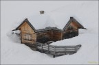 Snow Snow