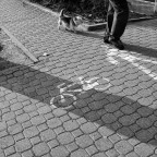 IMG_4633 IMG_4633