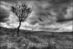 Tristezze d' Inverno Tristezze d' Inverno