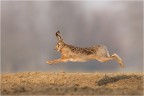 Running Running