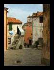 La grazia spontanea delle cose semplici La grazia spontanea delle cose semplici