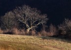 L'ultimo sole L'ultimo sole
