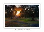Tramonto nel Salento Tramonto nel Salento
