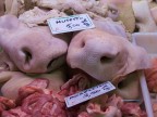 Natura Morta Natura Morta