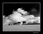 ...LUCE SUI CAMPI... ...LUCE SUI CAMPI...