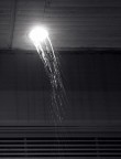 Lightfall Lightfall