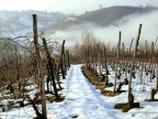 colline astigiane colline astigiane