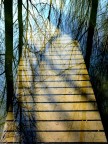 Riflessi sulla via Riflessi sulla via