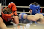 BOXE BOXE
