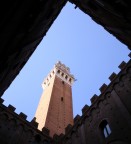 Canon EOS 350D
Canon EF-S 18-55 @ 18mm
1/500 sec
F/3.5
ISO 100