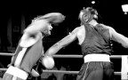 BOXE BOXE