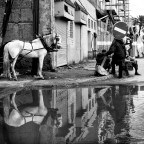 Marrakech - 3 Febbraio 2009