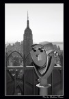 Sguardi su New York Sguardi su New York