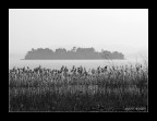 Isola madre, nebbia. Isola madre, nebbia.
