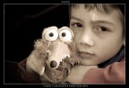 faces faces