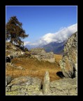 la pietra la pietra
