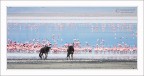 Gnu tra rosa e blu Gnu tra rosa e blu