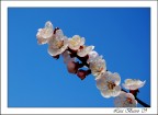 aria di primavera aria di primavera