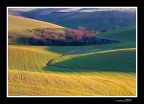 ...CAMPI... ...CAMPI...