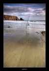 Fishing Fishing