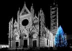 Siena - Duomo