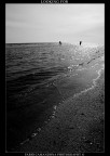 looking for looking for