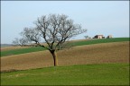 Le colline Le colline