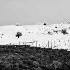 Paesaggio innevato nei pressi di Lorica, in Sila
Canon 400D @ 1/400 �/14 100ISO 55mm