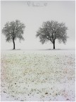 Amanti e uccellini Amanti e uccellini